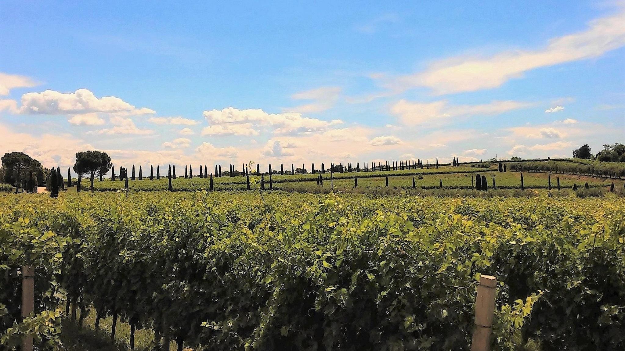 Borgo Romantico Green Relais Cavaion Veronese Eksteriør billede