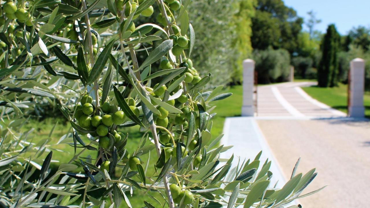 Borgo Romantico Green Relais Cavaion Veronese Eksteriør billede